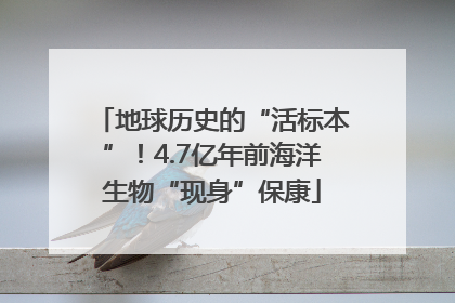 地球历史的“活标本”！4.7亿年前海洋生物“现身”保康